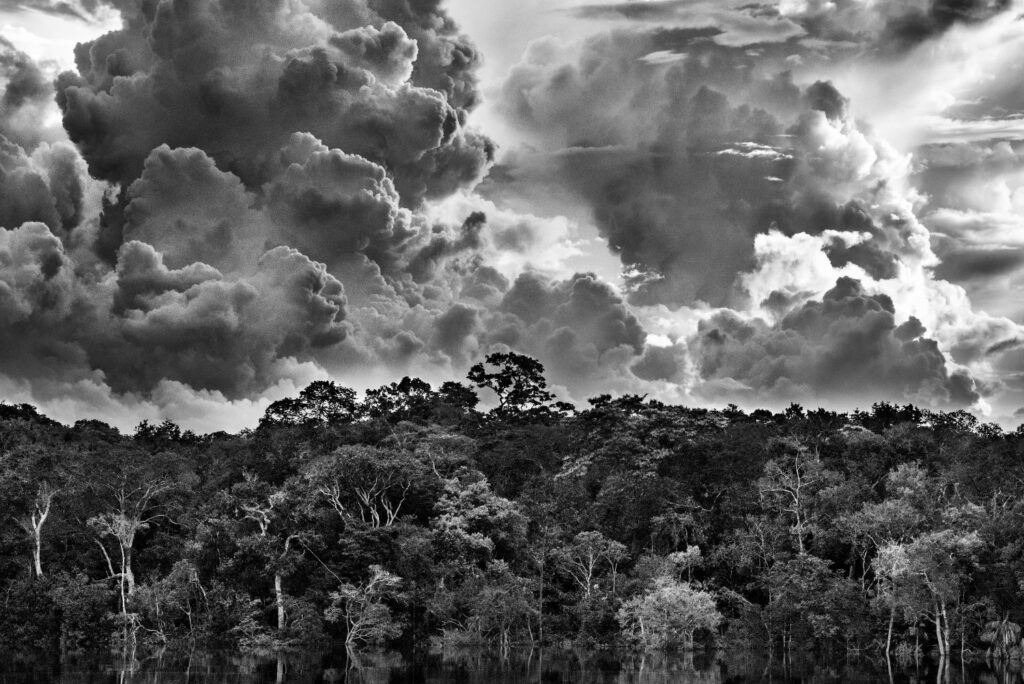 River archipelago of Mariuá. Rio Negro. State of Amazonas, Brazil, 2019. © Sebastião Salgado